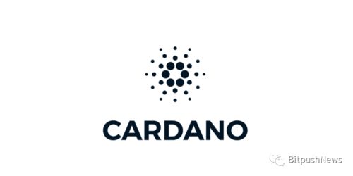 cardano作用,Cardao的个人资料