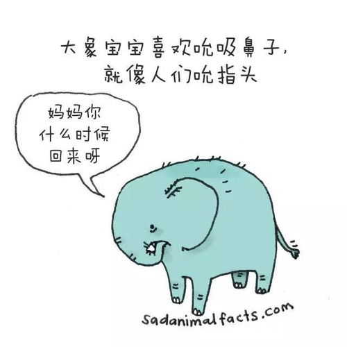 冷知识nga(冷知识动画小人制作)