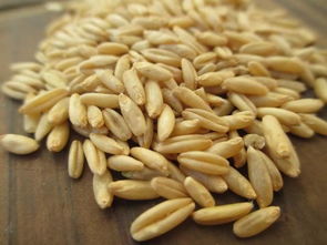 燕麦米最佳食用方法,燕麦米是一种营养丰