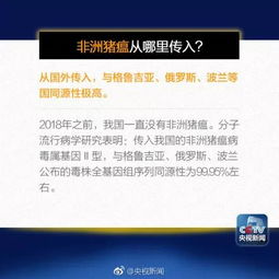 期刊投稿前必须查重吗？了解这些避免被拒绝