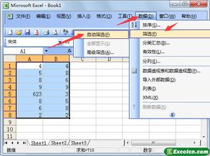 2003版本的excel表格怎么筛选,试简述Excel 2003中如何进行数据的自动筛选 - 已回答