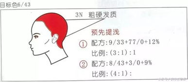 技术分享 盖白发 难 如何覆盖多段发质白发