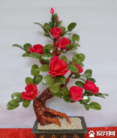 盆栽小玫瑰花怎么养殖,盆栽玫瑰花种植方法与技巧？