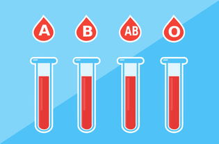 四种血型哪种最多,探究四种血型中哪种最多？