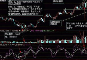 第一次炒股，买入后小赚，然后想卖出，但是提示可用证券数量不足？