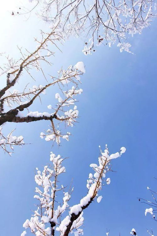 望长城内外,惟余莽莽 雪落成诗,诗情胜雪