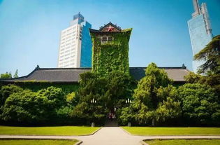 南京大学平时开放吗,南京大学平常开放不