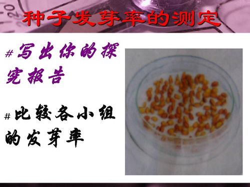 发芽率怎么算