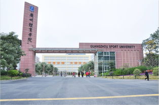 广州体育学院自考专生本,广州体育学院真的有自考本科吗？