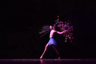 推崇创新追求的舞蹈,以舞者之名,诠释生命的意义 搜狐娱乐 搜狐网 