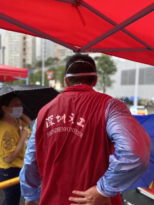 珍幼阁图片,珍幼阁：卓越的幼儿服务提供商-第4张图片