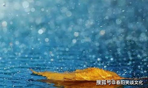 描写雨后景色的优美句子