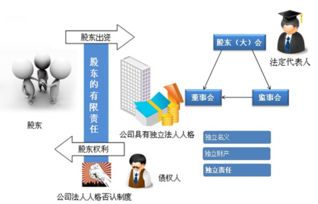 企业法人和法人股东的区别