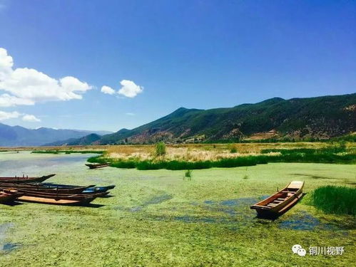 走遍大江南北,四季美景各不同,看看南方的初春景色