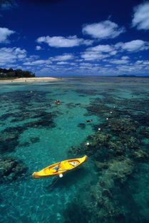 barrier reef length,Barrier Reef Length: A Comprehensive Overview