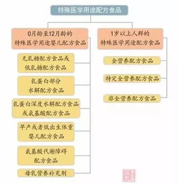 特殊医学用途配方食品都是些什么 