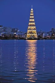 科学探索 世界上最大的圣诞树 里约热内卢湖上巨