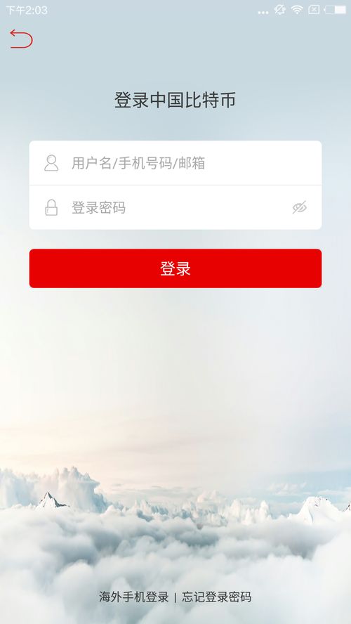 比特币中国app,比特币中国App——您的数字货币投资利器