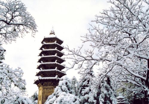 潭柘寺旅游攻略一日（深度游玩潭柘寺，探寻神秘的历史传说）