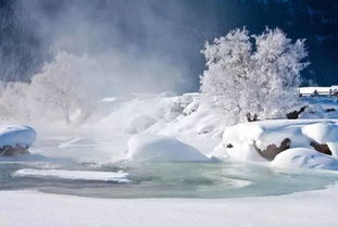 今年大雪节气比往年温度偏高，专家预测今年寒冬错了吗(今年天气雪大不大)