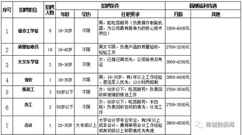 会计的岗位招聘,会计岗位招聘条件