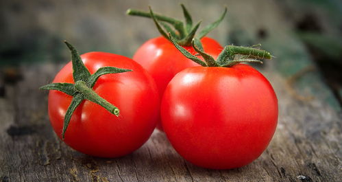西红柿的保存最佳方法