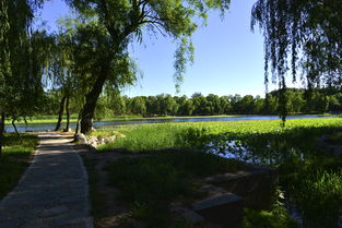 圆明园的湖水景色
