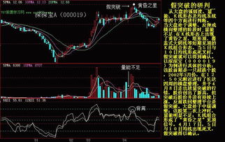 股票技术图形出现成长双星意示着什么？