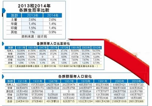 马来西亚独特的种族政治结构