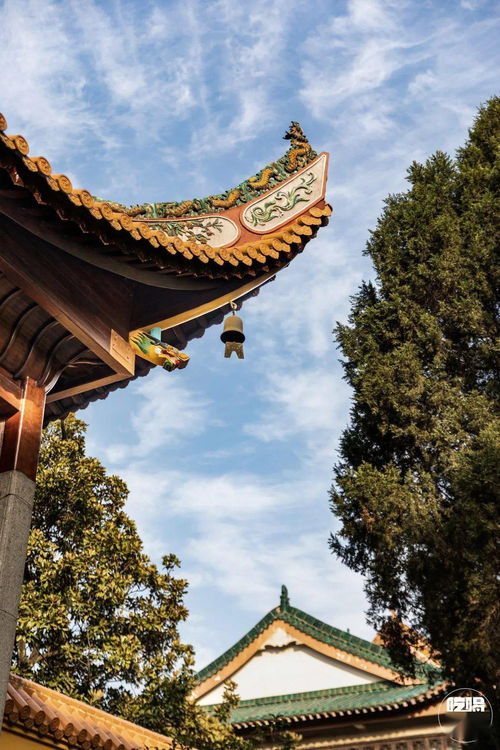 正月祈福哪家灵 长沙这6大寺庙值得一去