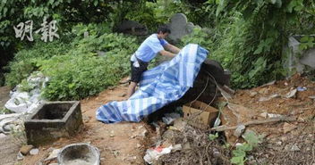 港媒 香港多个山坟被盗挖 家属直斥不尊重先人 