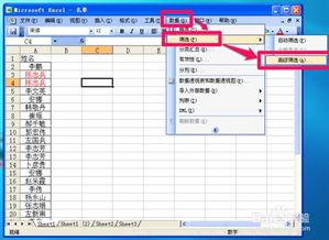 表格查重后的清理工作：删除重复数据的技巧