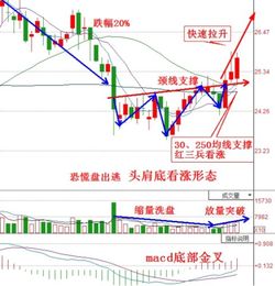 有跌了20%的股票最后回本的吗