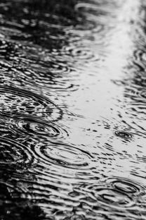 窗下观雨，心随雨动，窗下观雨相同词语有哪些