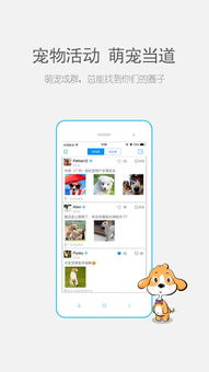 宠物时间安卓手机版apk下载 宠物时间v1.1.4免费下载 