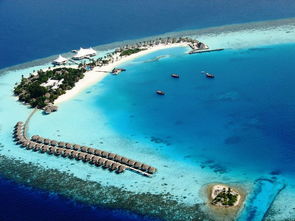 马尔代夫萨芙莉岛游玩被坑怎么避免（萨芙莉岛是几星岛）