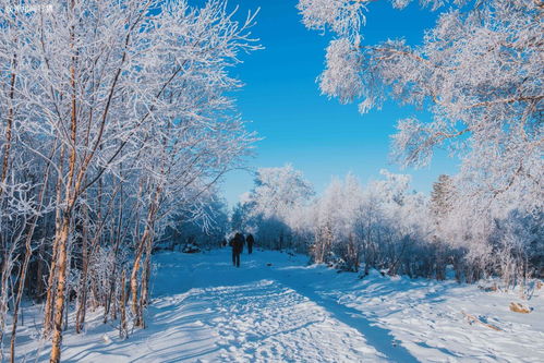 亚洲最大的滑雪场,藏在吉林北大湖,坐拥雾凇奇观美如仙境