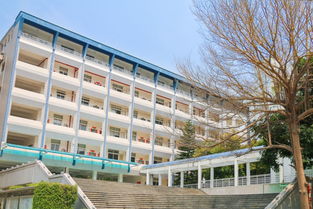 泉州十大贵族学校：历史、特色与招生详