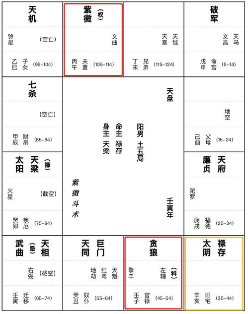 紫微斗数紫微星落入夫妻宫怎么样,什么样是旺夫星盘 