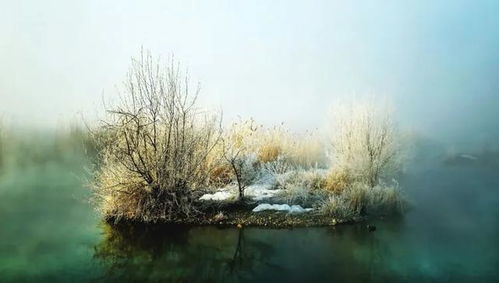 读睡摄影 那个冬天不寒冷,伊犁河谷美景张张可当壁纸