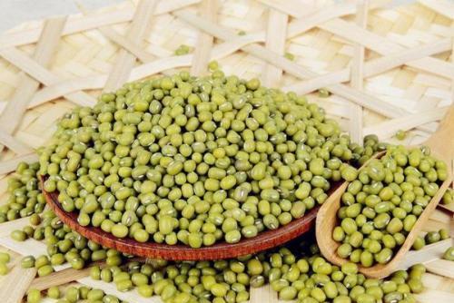 绿豆怎么吃才能最大化的养肝护肝