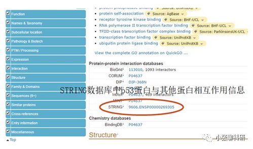 pro全称是指什么 pro全称是指什么 词条