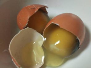 鸡蛋放冰箱里变黑变硬了,是怎么回事 还能吃吗 
