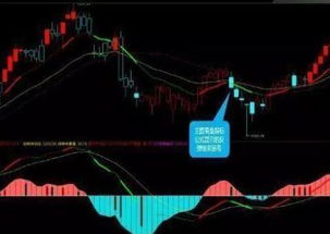 通达信软件中怎样将换手率大于2的股票一步加入自选股中