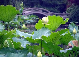 梅雨季节新房怎样通风(梅雨天新房子需要通风吗?)