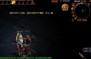 新铁血魔域,新铁血魔域：史诗般的MMORPG体验