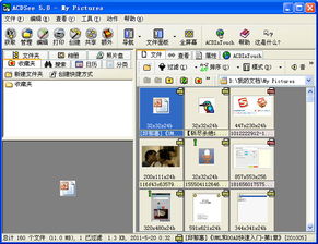 acdsee 5.0 简体中文版下载