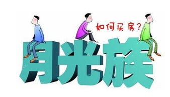 平顶山 月光族 买房全攻略 36㎡ 86㎡小户型买到手