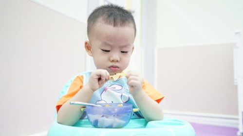 三岁以下的幼儿能不能吃加糖食品 婴幼儿期应养成清淡饮食