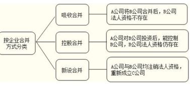 企业整合形成股份制公司怎样操作